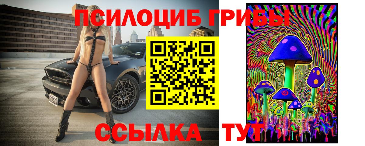 Щёлково  Галлюциногенные грибы ЛСД  Псилоцибиновые грибы ЛСД  Вход с VPN 